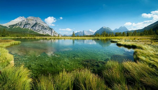 Stations de ski : Découvrez les écoles de ski spécialement conçues pour les enfants